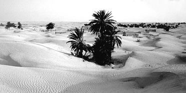 Libyjská pouštní oáza