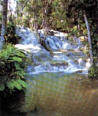 Vodopdy Dunns River Falls pat k hlavnm atrakcm ostrova