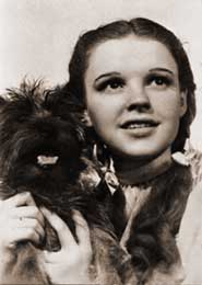 Judy Garlandov v arodji ze zem Oz