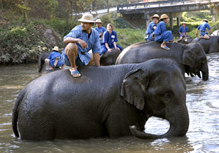 Thajské Centrum pro zachování slonů najdete cestou z Lampangu do Chiang Mai. Můžete si tu udělat i kurs v ovládání slonů.