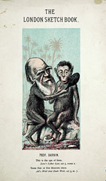 Darwinova karikatura od Faustina Betbedera z roku 1874, The London Sketch Book