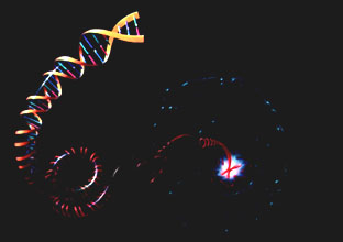 Model etzce DNA vystupujcho z chromozomu buky