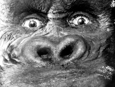 Interpretace King Konga se me zaklnat nejen Freudem a falickou symbolikou, ale dokonce sahat po nadlovenstv
